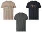 Drei Herren-T-Shirts: beige mit „Origin and Legacy Club“-Aufdruck, dunkelgrau mit „Life Begins“-Aufdruck und marineblau mit „Legendary Yee Haw“-Aufdruck.