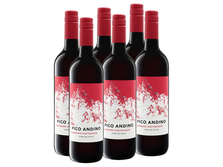 Gehe zu Vollbildansicht: 6 x 0,75-l-Flasche Weinpaket Pico Andino Cabernet Sauvignon Chile, Rotwein - Bild 1