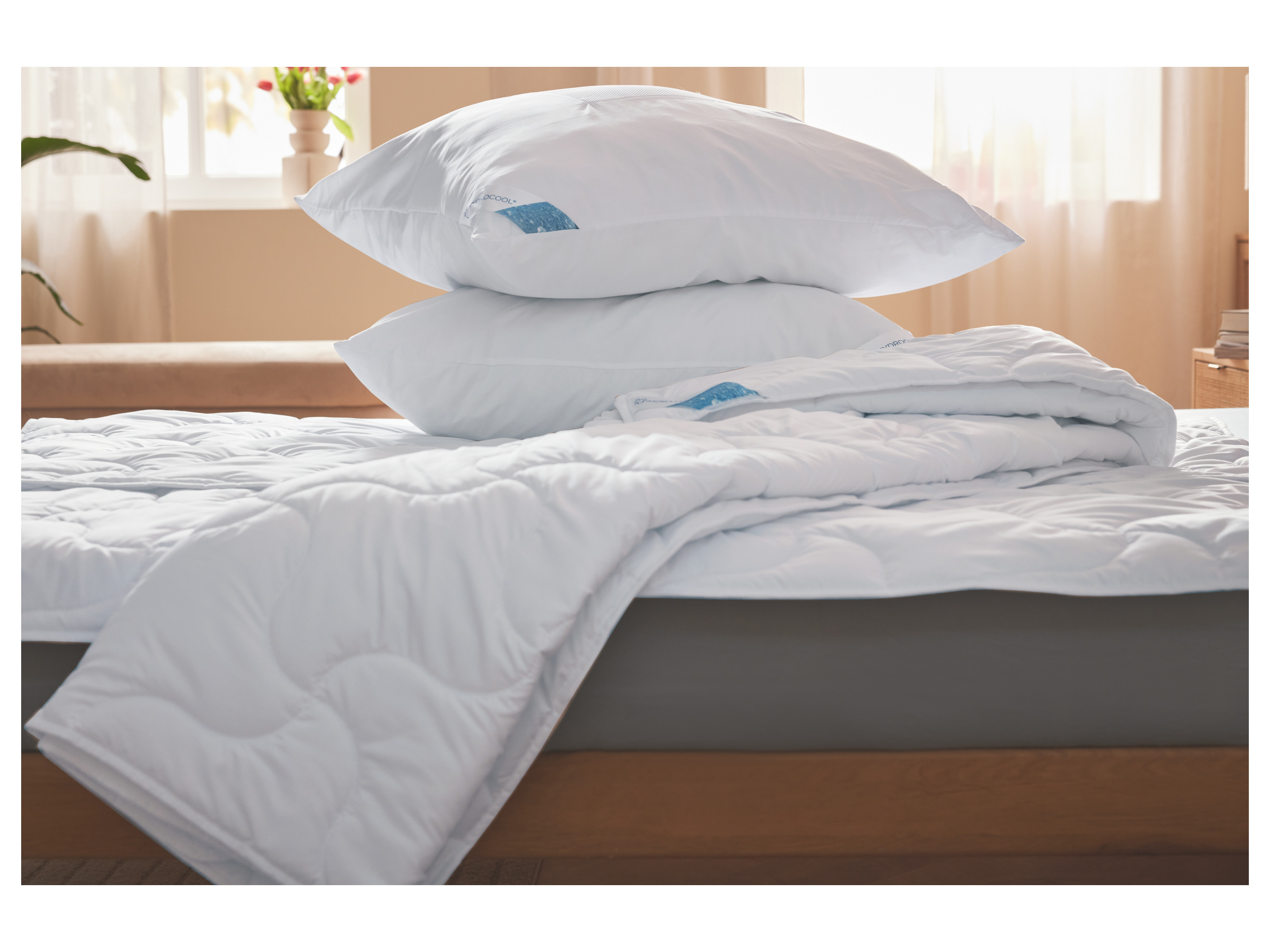 Thumbnail - LIVARNO home Kopfkissen »HYDROCOOL«, 80 x 80 cm