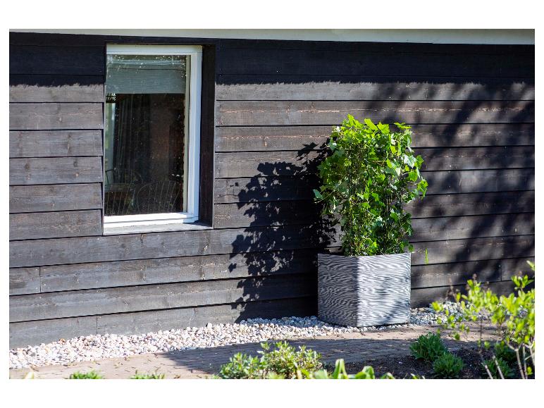 Schwarze Holzwand, Fenster und Topf mit grüner Pflanze draußen.