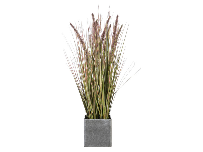Gehe zu Vollbildansicht: Pureday Kunstpflanze »Ziergras/Borstenhirse«, für den Indoor-Einsatz - Bild 2
