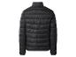 Schwarze Herren-Steppjacke, Rückansicht.