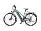 Graugrünes City-E-Bike mit Gepäckträger und Federgabel.