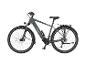 Graues Elektro-Trekkingrad mit Federgabel, Scheibenbremsen und Gepäckträger.