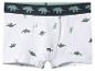 Weiße Jungen-Boxershorts mit grünen Dinosauriern und gestreiftem Bund