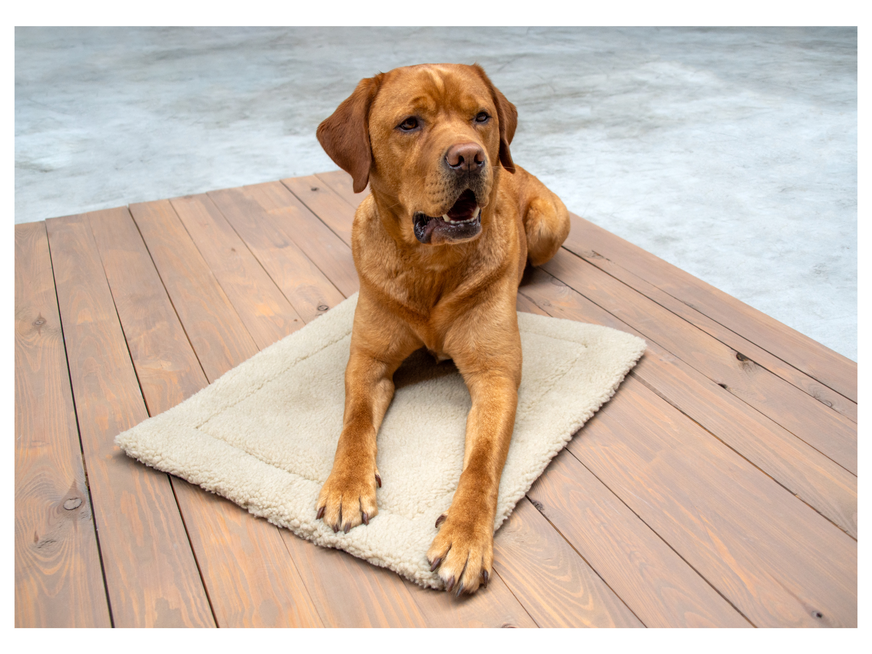 Karlie Haustier Wärmematte (Beige) | 04016598125014