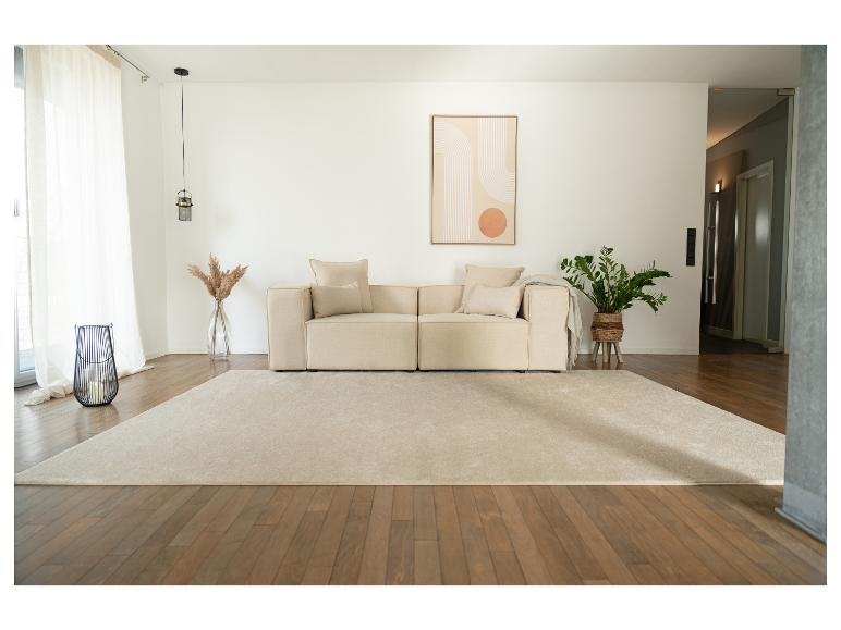 Modernes Wohnzimmer mit beigem Sofa, hellem Teppich und minimalistischer Dekoration.