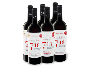 6 x 0,75-l-Flasche Merlo… Weinpaket 718 Finca Cañadelas