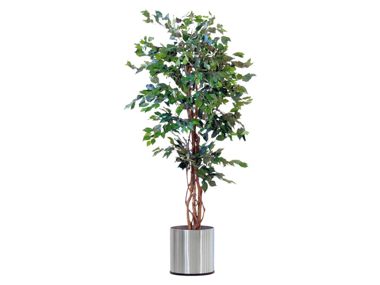Gehe zu Vollbildansicht: Pureday Kunstpflanze Ficus Benjamini, mit Naturstamm - Bild 1