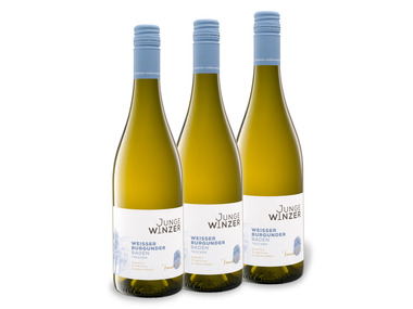 3 x 0,75-l-Flasche Weinpaket Junge Winzer Weißer Burgunder QbA trocken, Weißwein