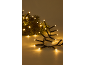 Warmweiße LED-Lichterkette mit grünen Tannenzweigen im Hintergrund.
