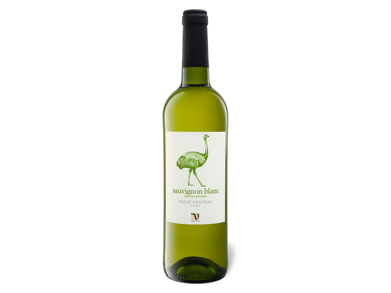 Gehe zu Vollbildansicht: VIAJERO Sauvignon Blanc Reserva Privada Chile trocken, Weißwein 2021 - Bild 1