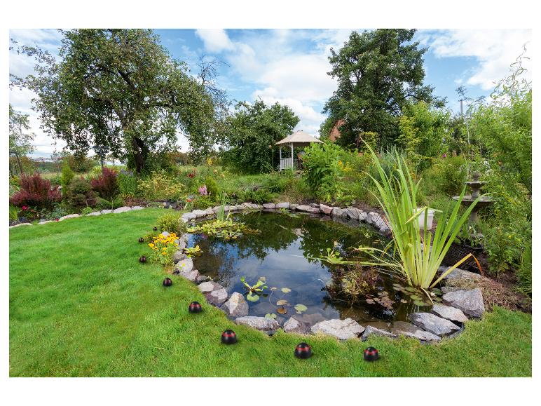 Gartenteich mit Seerosen, umgeben von Rasen, Bäumen und dekorativen Lichtern.