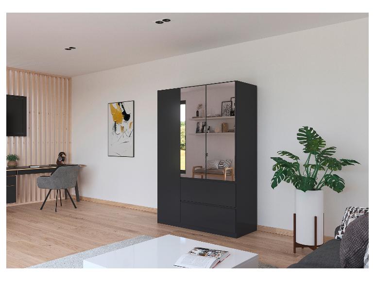 Ein schwarzer Schrank mit Spiegeltüren in einem modernen Interieur.