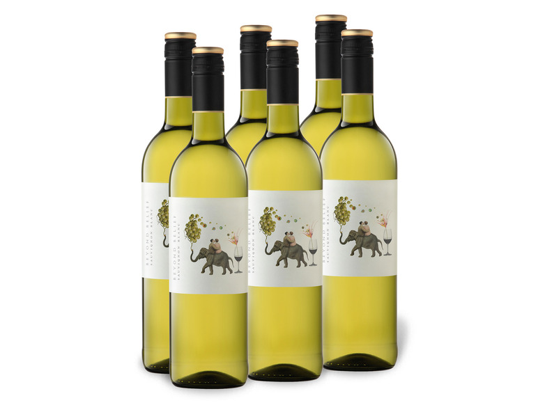 Gehe zu Vollbildansicht: 6 x 0,75-l-Flasche Beyond Belief Sauvignon Blanc Western Cape trocken, Weißwein - Bild 1