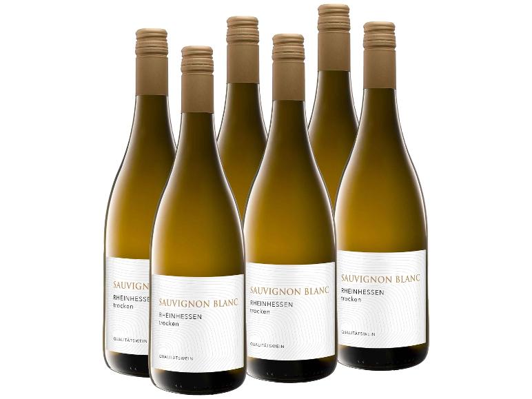 Sechs Flaschen trockener Sauvignon Blanc Weißwein aus Rheinhessen, Germanland.