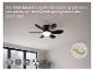 Schwarzer Deckenventilator mit Licht, Fernbedienung, 3 Geschwindigkeitsstufen und Timer.