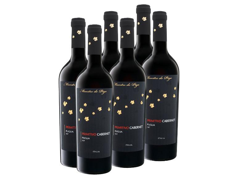 Sechs Flaschen Maestro de Pigo Primitivo Cabernet Puglia IGT Rotwein.