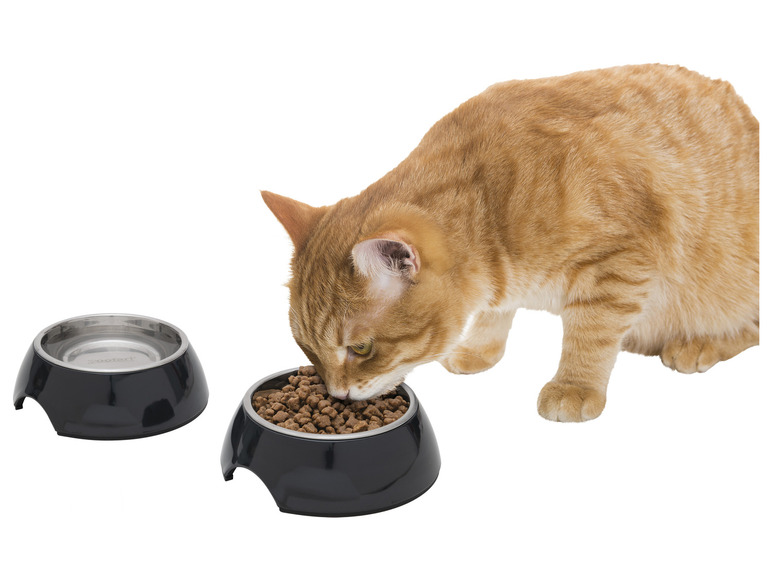 Futter- und Trinknapf / Napfunterlage