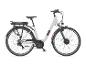 Weißes E-Bike mit schwarzem Sattel, Gepäckträger und Schutzblechen.