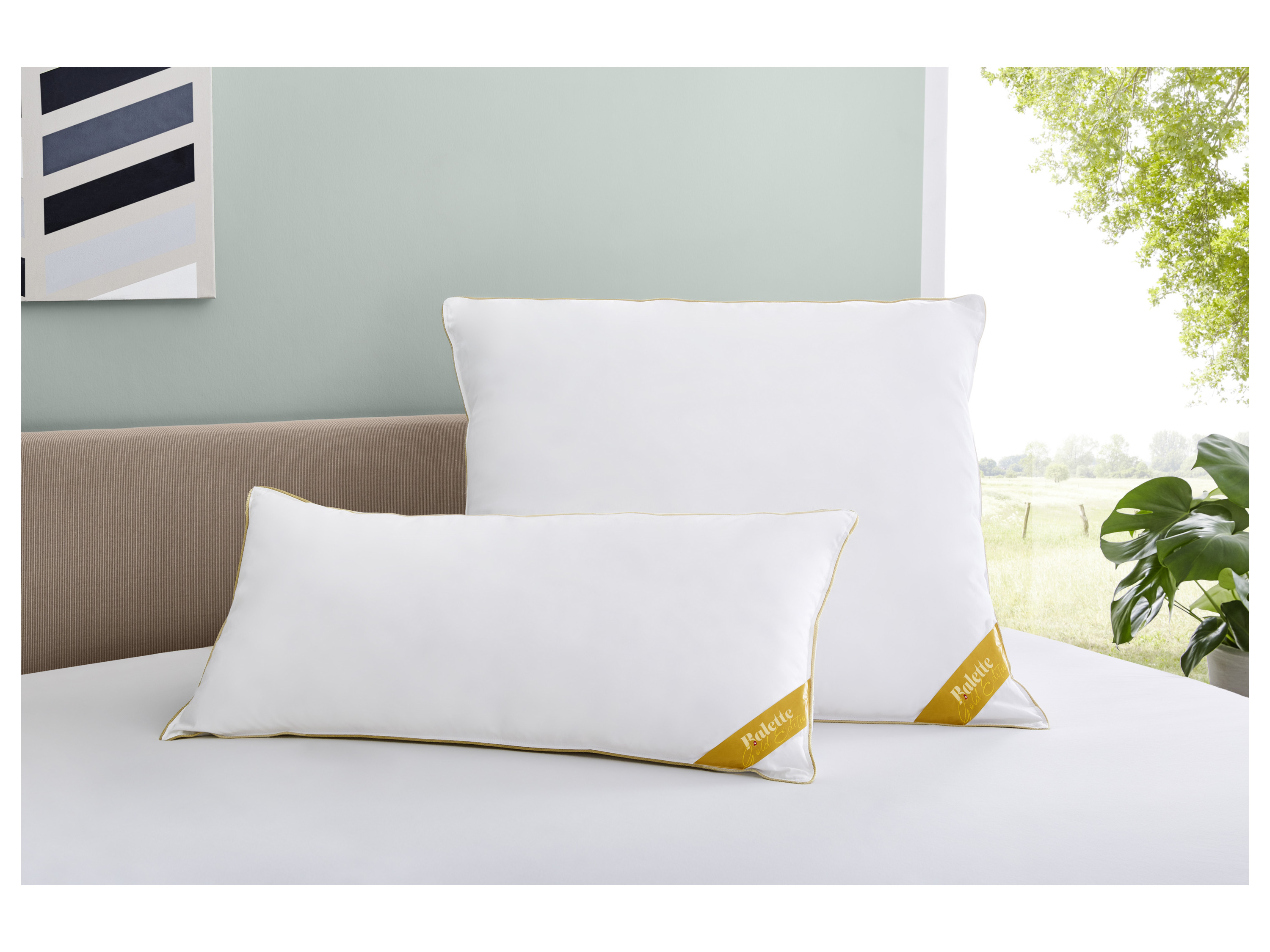 BALETTE deLuxe Gänsefeder/Daunen Kopfkissen Gold-Edition (80 x 80 cm) – Bild 2 von 4