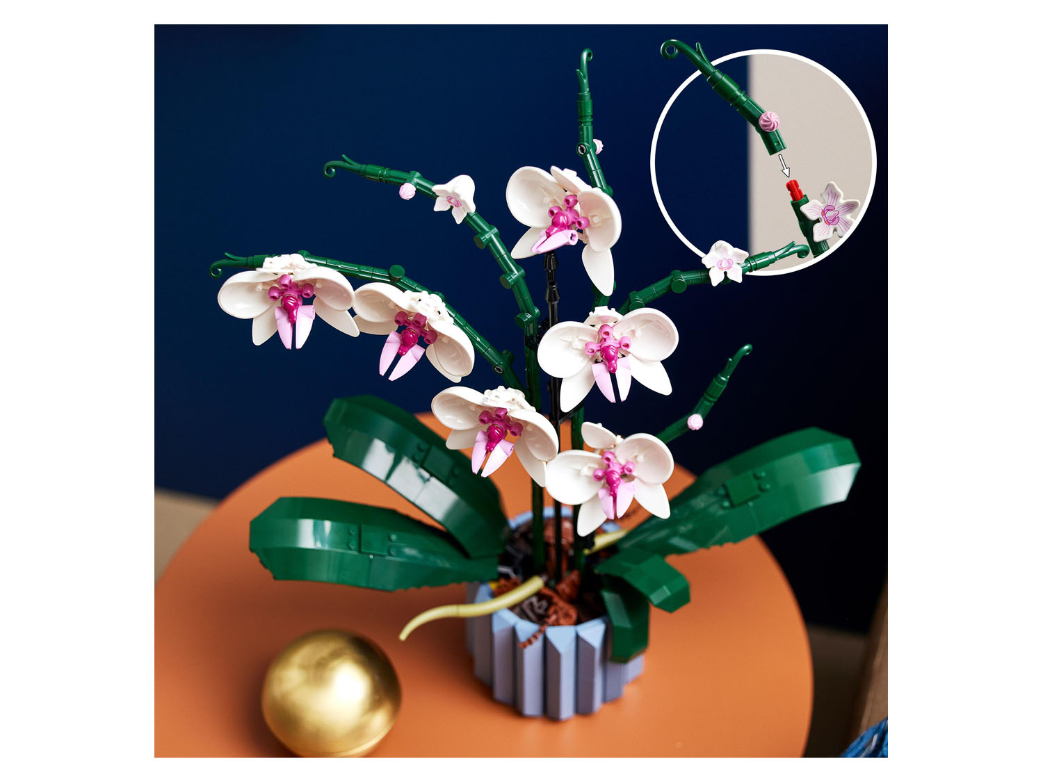 Thumbnail - LEGO 10311 »Orchidee«