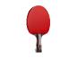 Roter Tischtennisschläger mit schwarzem Griff und grauen Akzenten.