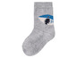 Graue Socke mit Hai-Motiv.