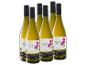 Sechs Flaschen Western Cape Sauvignon Blanc mit rosa Blumenetiketten.