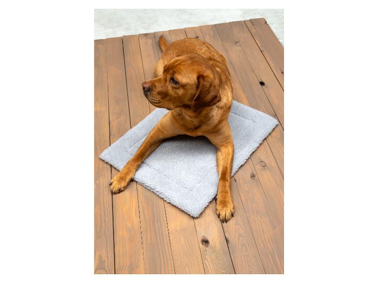 Ein brauner Hund, der auf einem grauen Hundebett liegt.