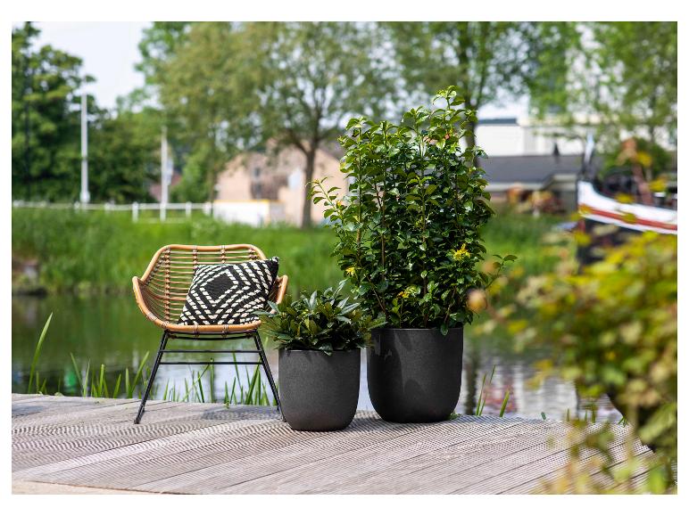 Korbstuhl mit Kissen und Topfpflanzen auf einer Holzterrasse am Wasser.