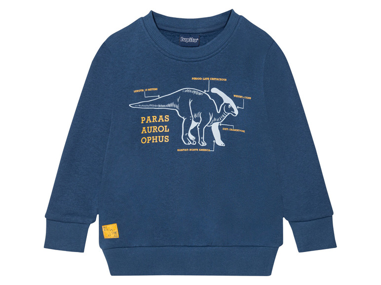 Ein dunkelblauer Pullover mit einem Dinosaurier-Druck und dem Text 'Parasaurolphus'.