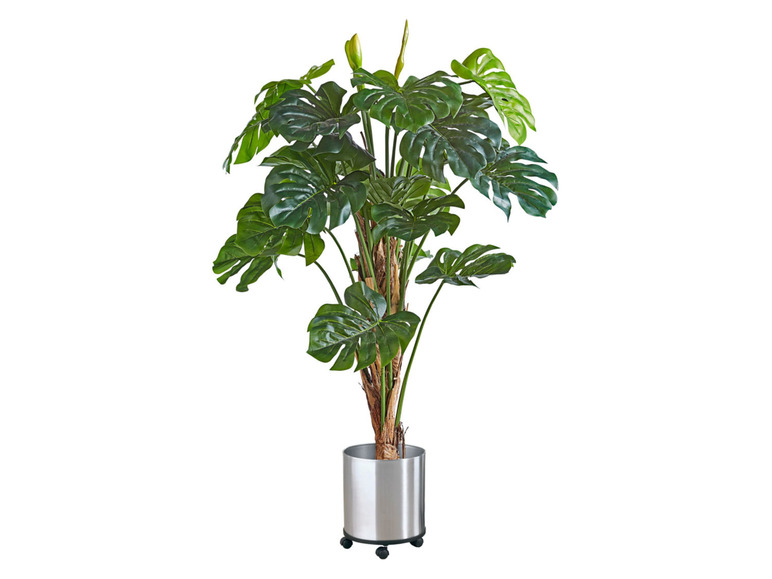 Gehe zu Vollbildansicht: Pureday Kunstpflanze »Philo-Baum«, mit Naturstamm - Bild 1