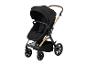 Schwarzer Kinderwagen mit goldenem Rahmen und braunem Griff.