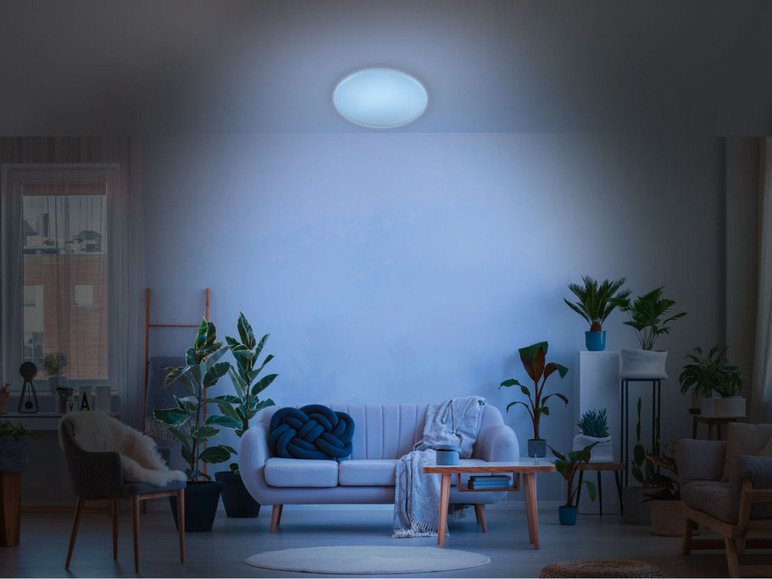 Gehe zu Vollbildansicht: LIVARNO home LED-Deckenleuchte mit Farbtonsteuerung, 36,8 W - Bild 20