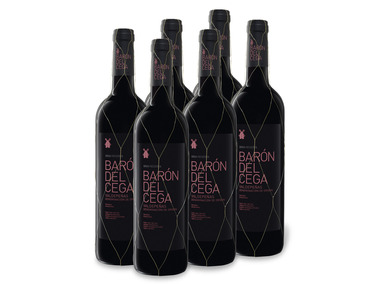 6 x 0,75-l-Flasche Weinpaket Barón del Cega Gran Reserva DO trocken, Rotwein