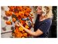 Frau befestigt orangefarbene Ringelblumen mit einer STEINEL Heißklebepistole an einer Wand.