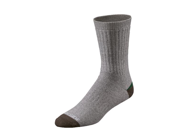 Eine einzelne graue Socke mit dunkelbrauner Spitze und Ferse und einem grünen Streifen.