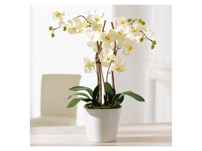 Gehe zu Vollbildansicht: Pureday Kunstpflanze »Orchideentopf«, täuschend echt - Bild 3