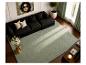 Modernes Wohnzimmer mit schwarzem Sofa, grünem Teppich, Glas-Couchtisch und Topfpflanze.
