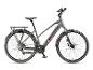 Graues E-Bike mit Gepäckträger und Schutzblechen.