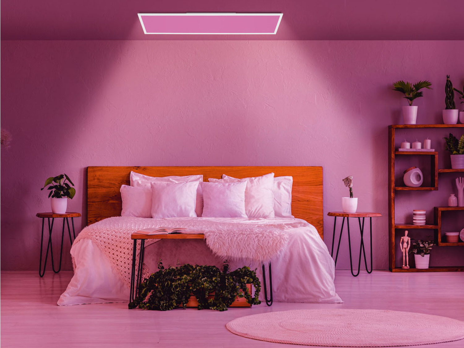 LIVARNO home LED-Deckenleuchte, »Z… Farben 16 Millionen