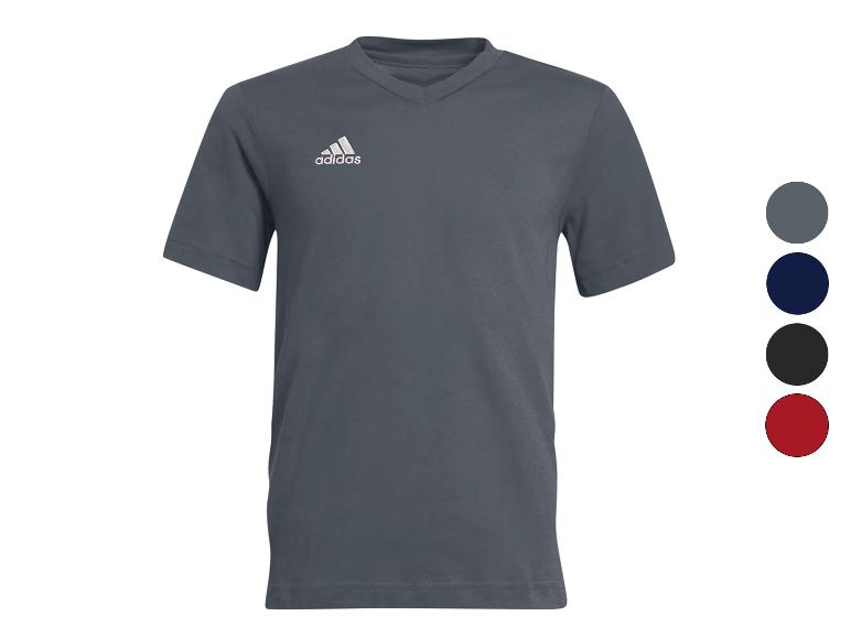 Graues Herren-T-Shirt mit V-Ausschnitt und kurzen Ärmeln, mit Farbmustern