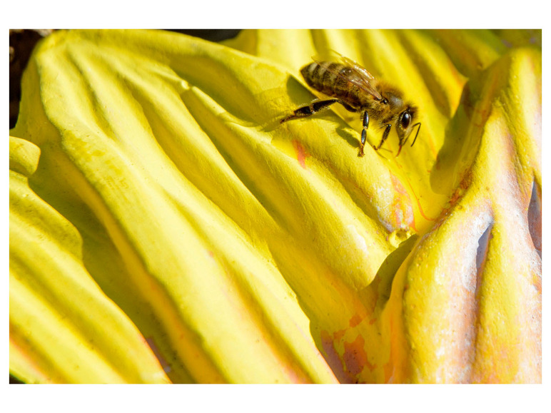 Gehe zu Vollbildansicht: dobar Insektentränke »Fiore«, Ø 30,5 x H 4 cm, aus Keramik, witterungsbeständig - Bild 11