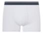 Weiße Boxershorts, farbiger Bund.
