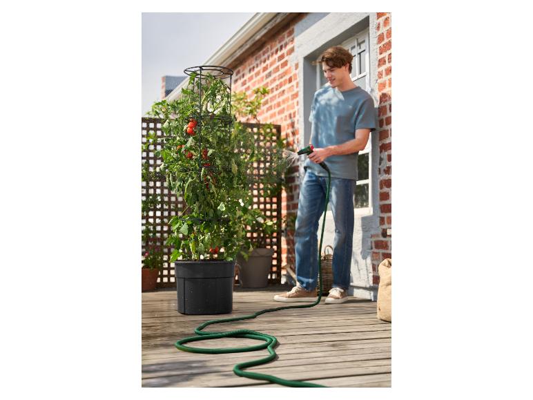 Mann gießt Tomatenpflanze im Topf mit Gartenschlauch auf einer Terrasse.