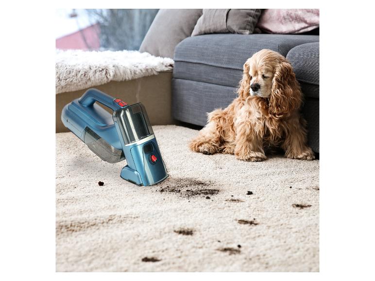 Handstaubsauger reinigt Teppich mit schmutzigen Pfotenabdrücken neben einem Hund.