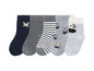 Sechs Paar Baby-Socken mit Zebra-Muster.
