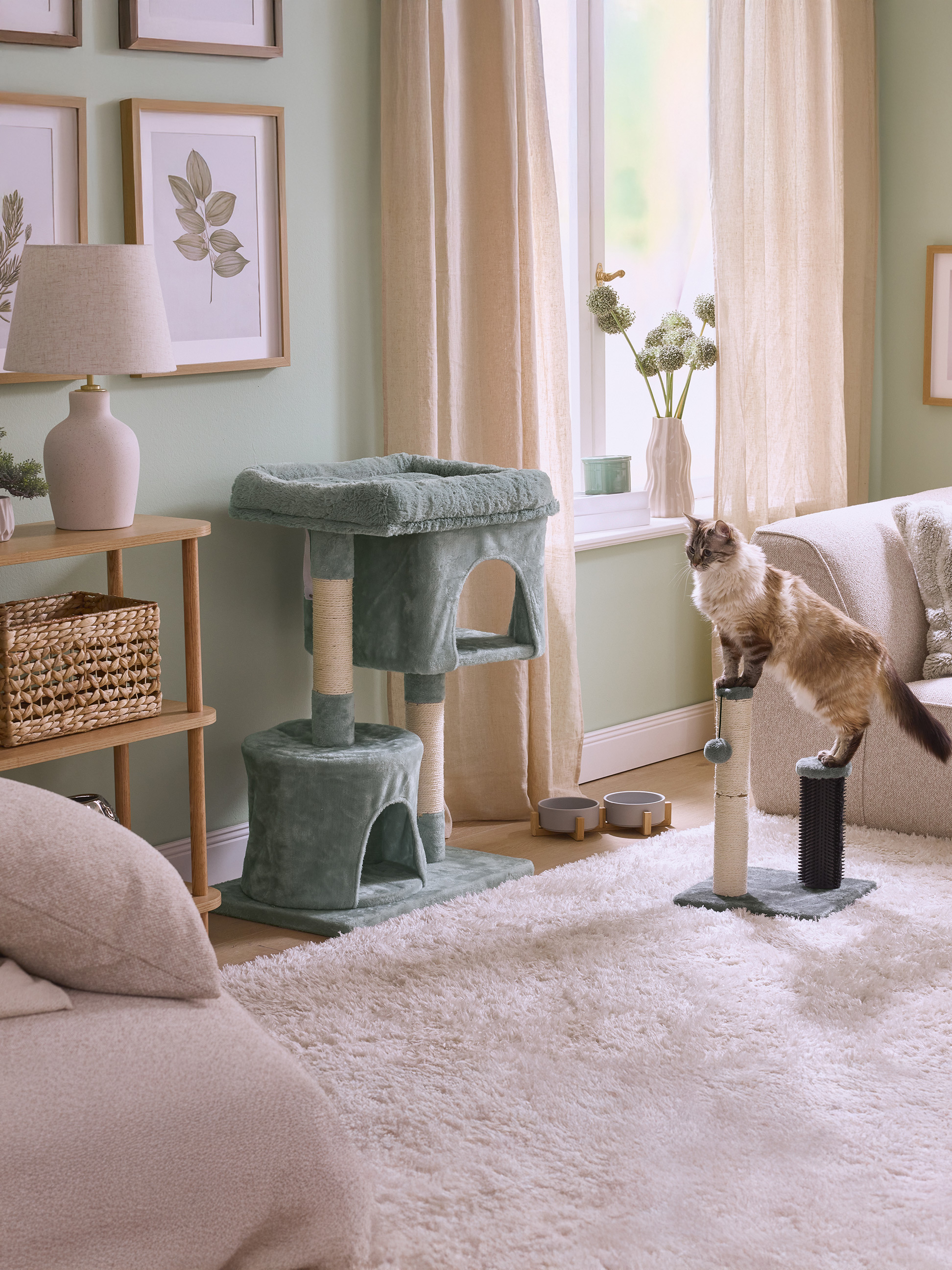 Katze auf Kratzbaum im Wohnzimmer mit beigem Teppich und grünen Wänden.