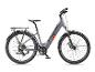 Graues Elektro-Citybike mit Tiefeinsteigerrahmen, Federgabel und Gepäckträger.